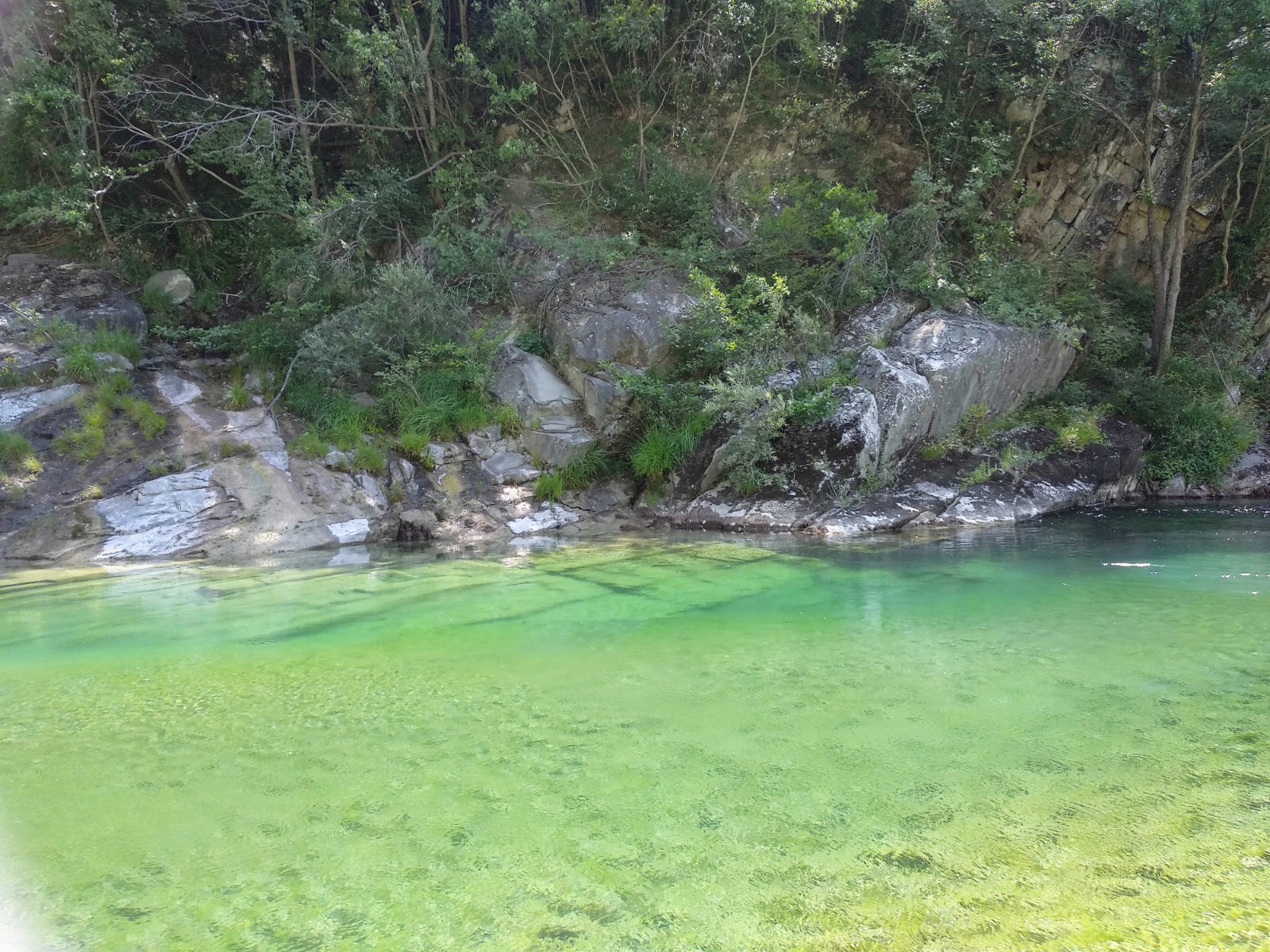 IMG_20210731_115106~2