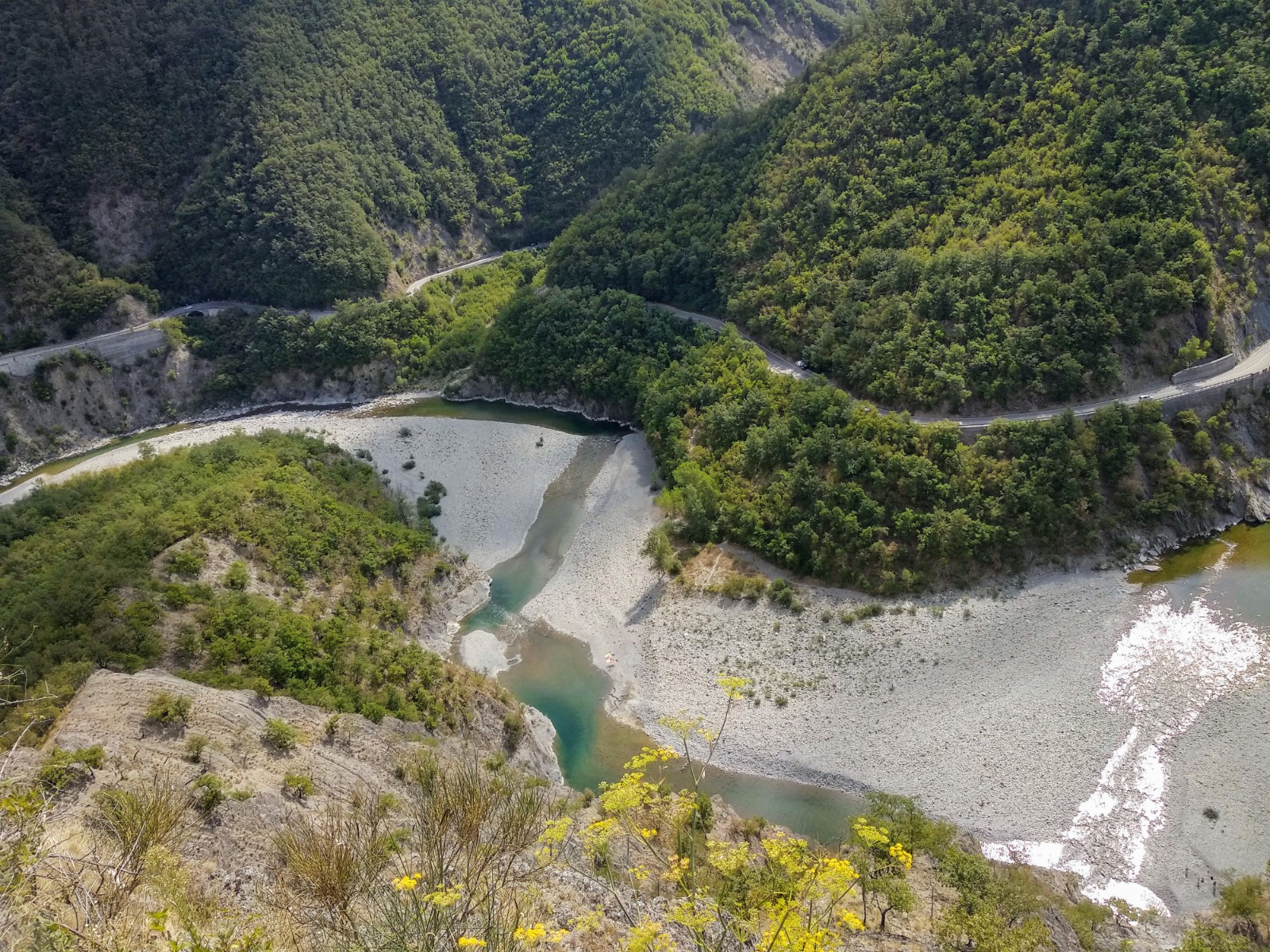 IMG_20210828_111151~2